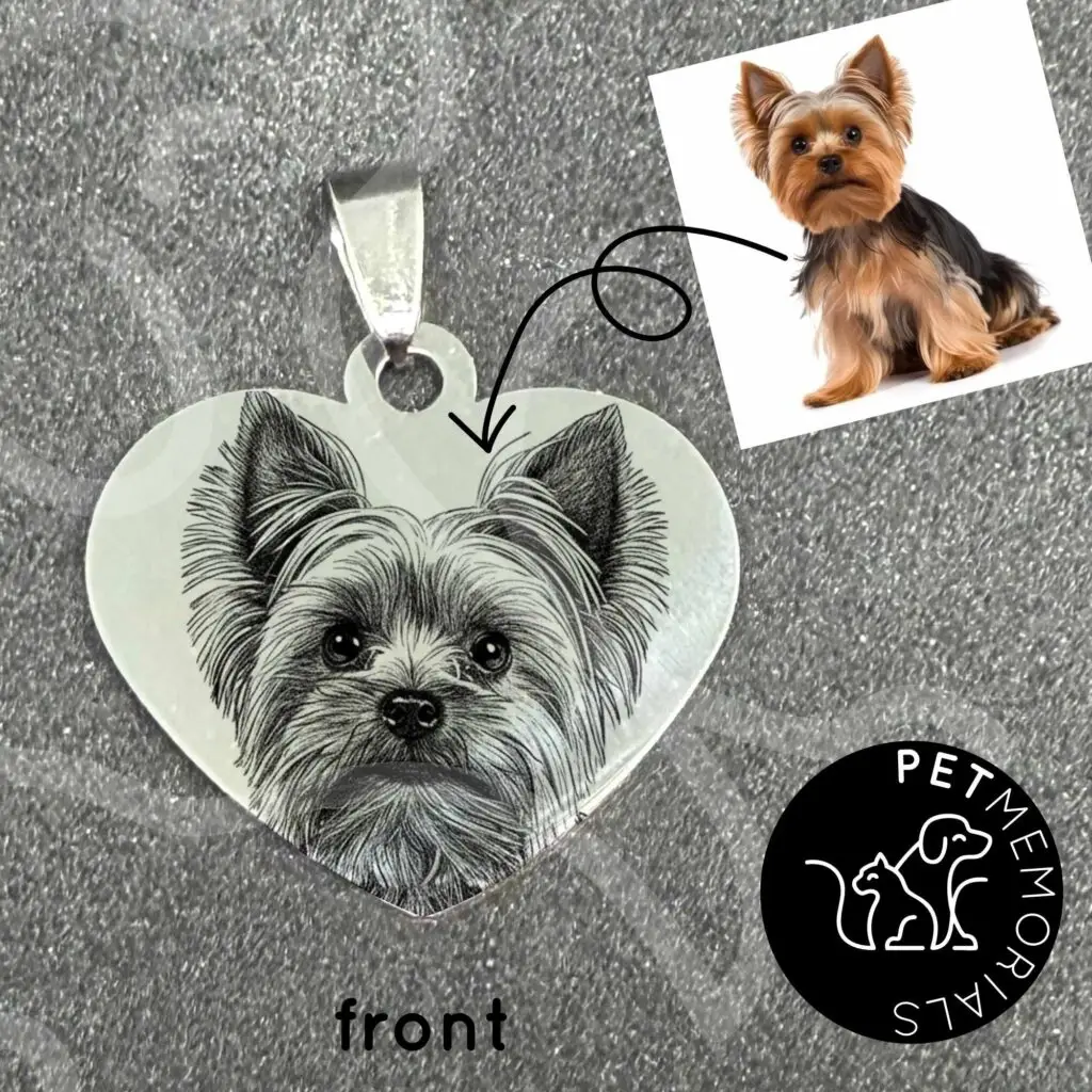 Stainless steel heart pendant engraved with a pet photo