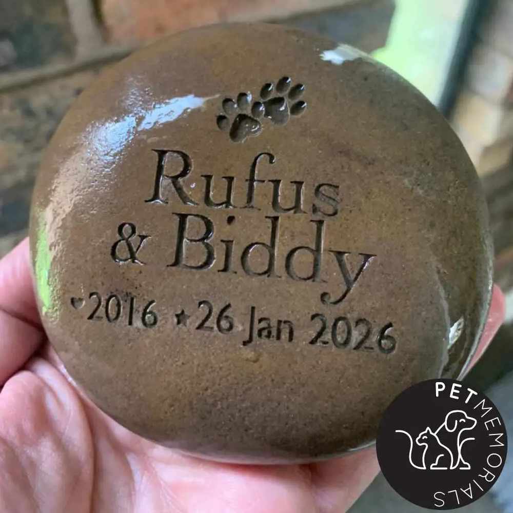 Engraved river stone pet memorial in a garden