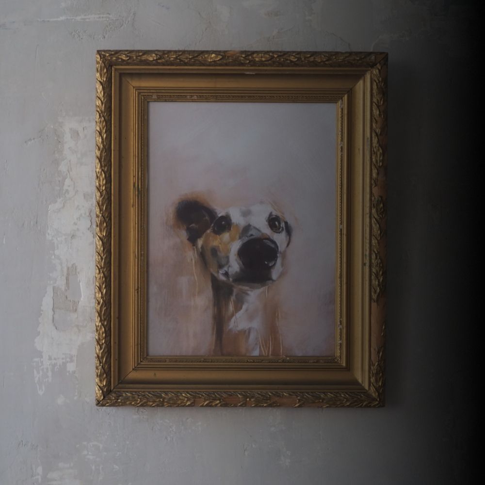 Legacy Plus Pet Memorial with weatherproof QR plaque linked to a permanent online memorial page