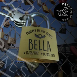 Brushed brass Rainbow Bridge Lock engraved with pet name for outdoor fence memorial